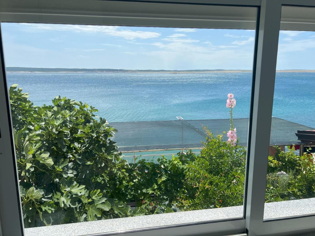 Apartman Marjan Šibuljina Exteriör bild